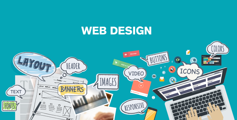 5 Things to Consider Before You Opt for a Web Design Company