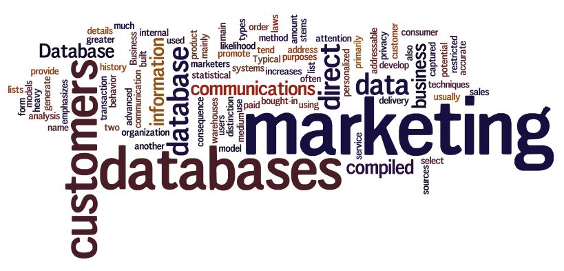 How to Effectively Segment Your Marketing Database
