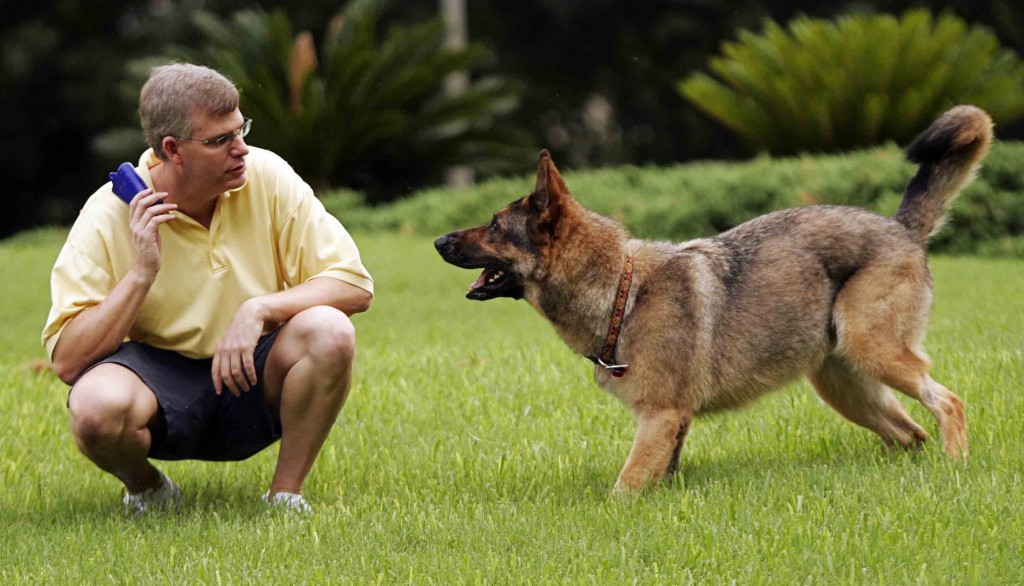 3 Ways to Train your Dog to Attack a Stranger