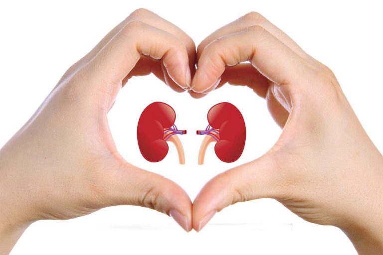 Top Superfoods for A Healthy Kidney