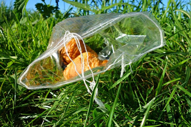 Why Plastic Bags must be Banned in India – Need to Educate More People