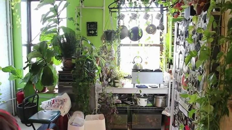 How to Create an Optimal Environment for Indoor Gardening