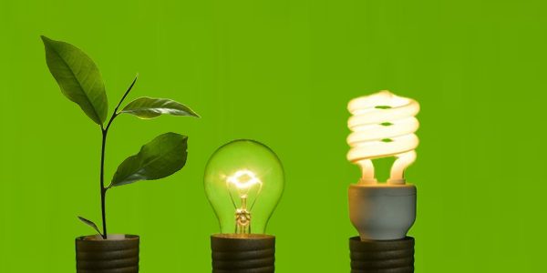 Sustainability Sourcing – Why Businesses Need to Consider the Source of Their Electricity