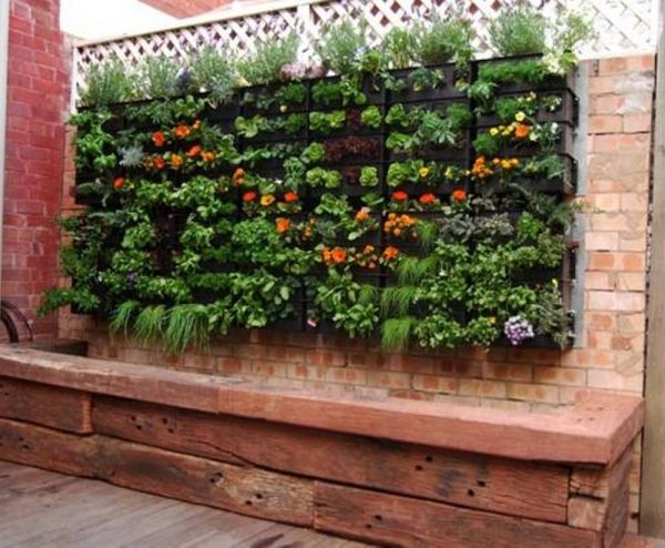 Useful Tips for Gardening in Small Spaces