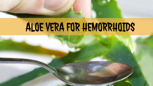 Top 11 Effective Ways On How To Use Aloe Vera For Hemorrhoids