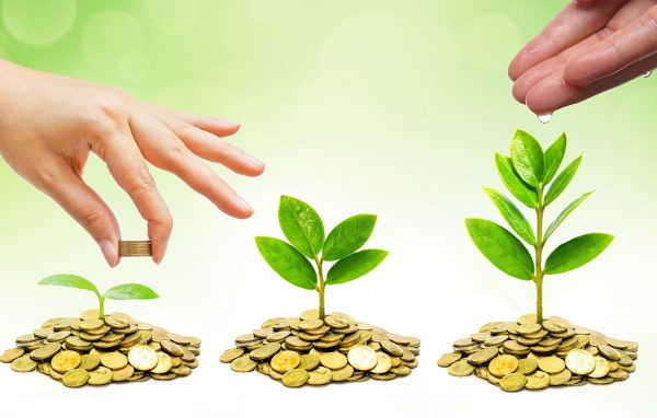 5 Top SBI Equity Mutual Funds to Grow Your Wealth