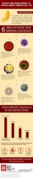 The Anti-viral Health Benefits of Ginseng Against Common Cold & Flu [Infographic]