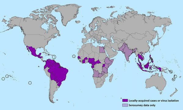 Zika Virus, a Potential Threat to Human Health