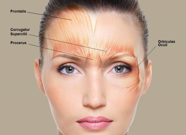 What Botulinum Toxin (Botox) Is and Its Benefits for Health