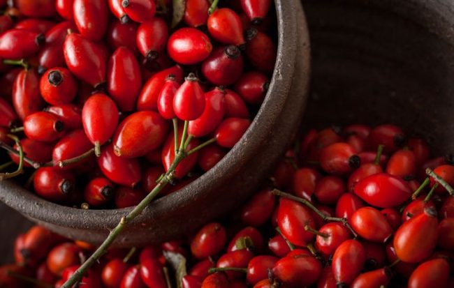 The Benefits of Using Rosehip Oil for Your Beauty Regimen