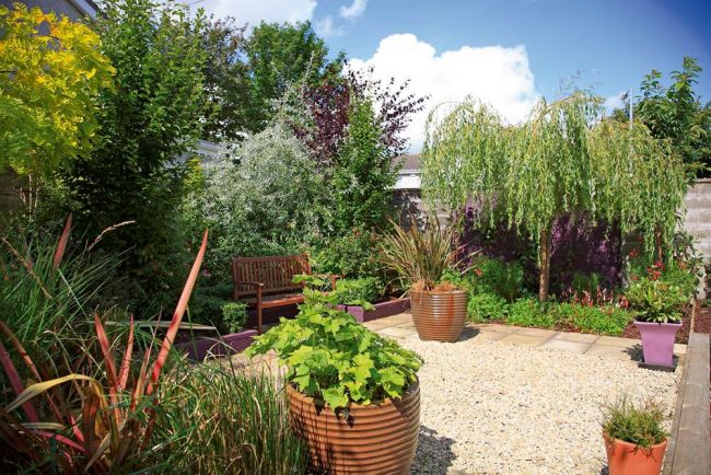 Low Maintenance Garden Ideas for your Family Annex