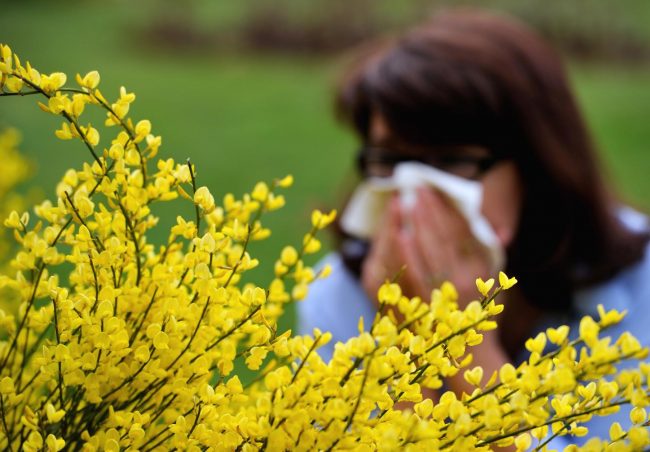 How to Survive the Allergy Season