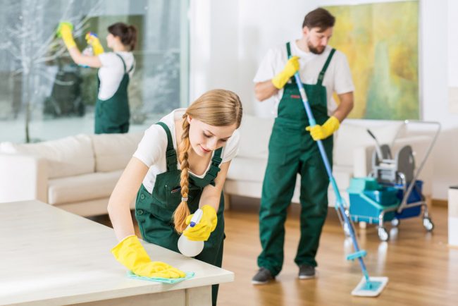 Types of Professional House Cleaning Services
