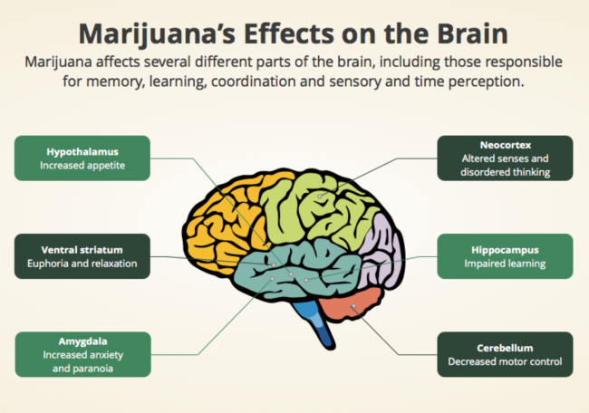 The Different Physical And Mental Effects Of Marijuana