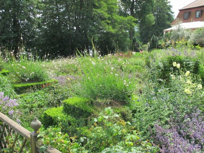 How to Create a Wildlife Garden & Keep it Under Control