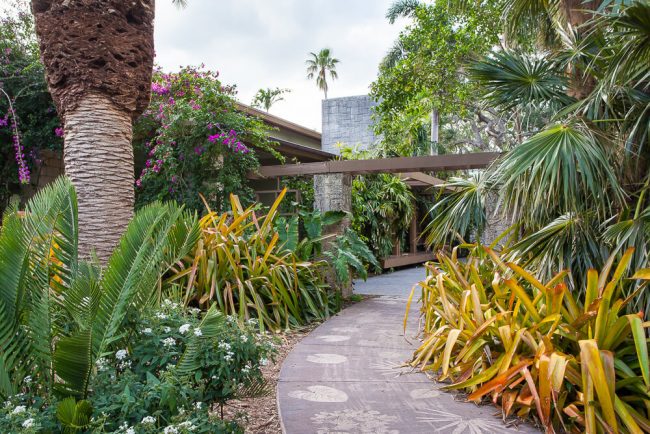 How to Turn Your Garden into an Exotic Escape
