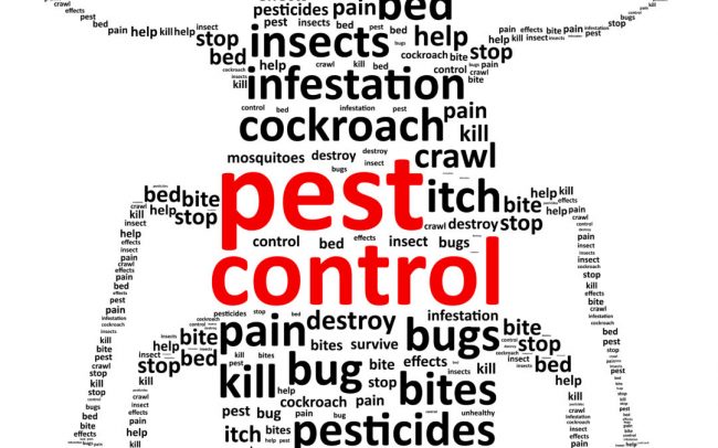 Pest Control Tips and Strategies That Will Help You Get Rid of Them Quickly and Easily!