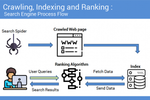 Search Engine Crawling, indexing and ranking