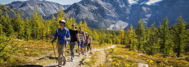 How Hiking Can Help Your Anxiety