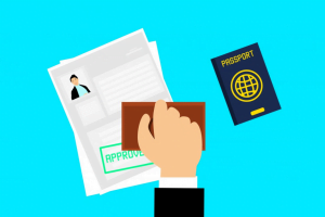 How A Migration Agent Can Simplify the Visa Application Process