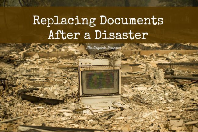 What You Need To Know About Replacing Your Documents after a Natural Disaster