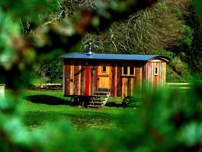 7 Absolutely Brilliant Design Features of Tiny Houses You Are Sure to Love