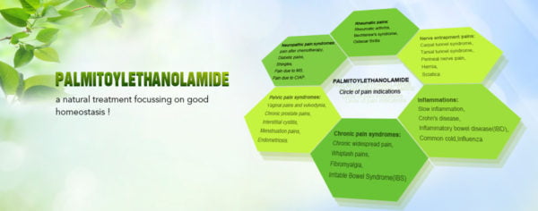 Palmitoylethanolamide: Beginners Guide to Understanding PEA and Its Uses