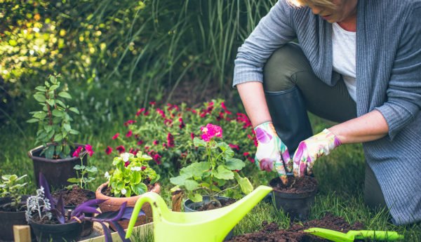 Gardening For Your Health: How To Create The Perfect Retreat In Your Back Yard