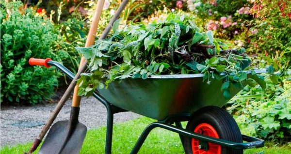 Garden Care – 10 Useful Tips