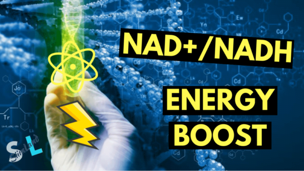 5 Different ways to Boost NAD Levels