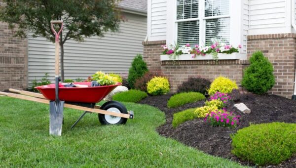 Make your landscaping stand out by using color