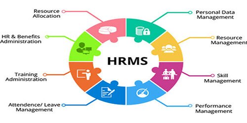 How HR Data Management Software Can Help You Achieve a Big Picture Perspective for Your Business