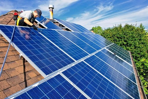 How to Keep Your Solar Panel Safe from Birds?