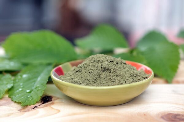Top 5 Tips to Buy Kratom that’s High-Quality