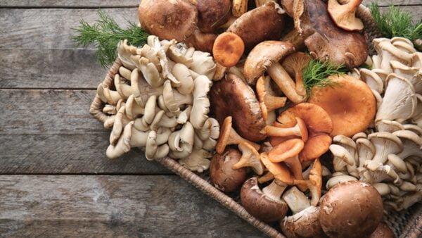 Mushrooms: A Unique Natural Way to Boost your Health