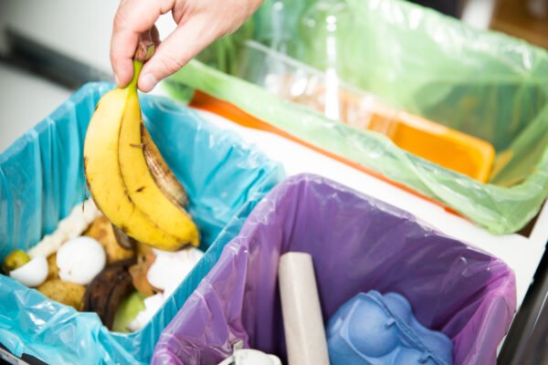 5 Ways To Manage Waste In Your Home