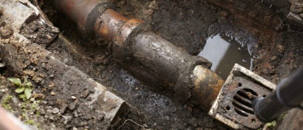 How to Prevent Roots From Clogging a Sewer Line