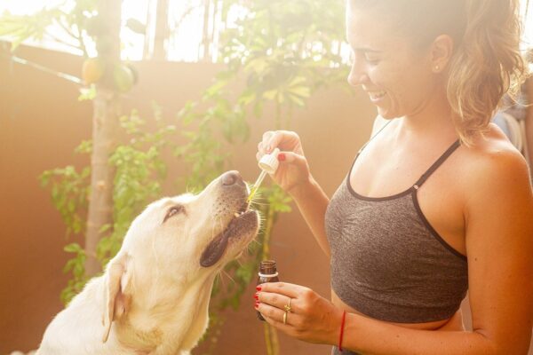 7 Potential Benefits of CBD Products for Your Pet’s Health