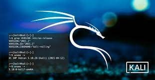 What You Must Know Before Beginning to Use Kali Linux