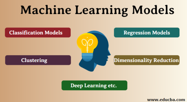 Harnessing the Power of Machine Learning Models 