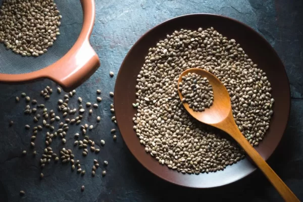 Hemp Seeds in Your Diet: The Overlooked Powerhouse of Nutrition