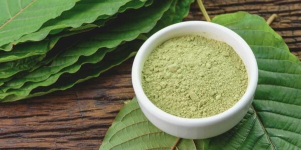 Kratom: A Comprehensive Analysis of its Pros and Cons