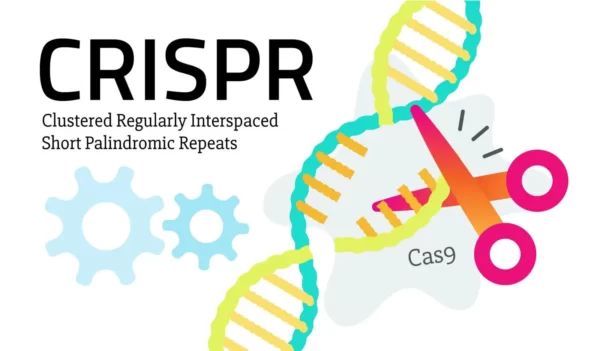 The Ethics of CRISPR and Genetic Engineering