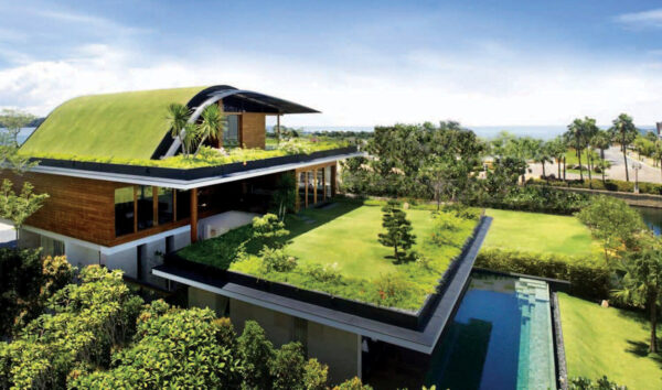 Green Roofing Solutions: A Sustainable and Eco-Friendly Option for Your Home